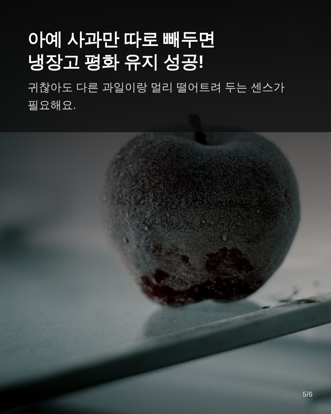 장기 보관을 위한 관리 및 예방 팁
