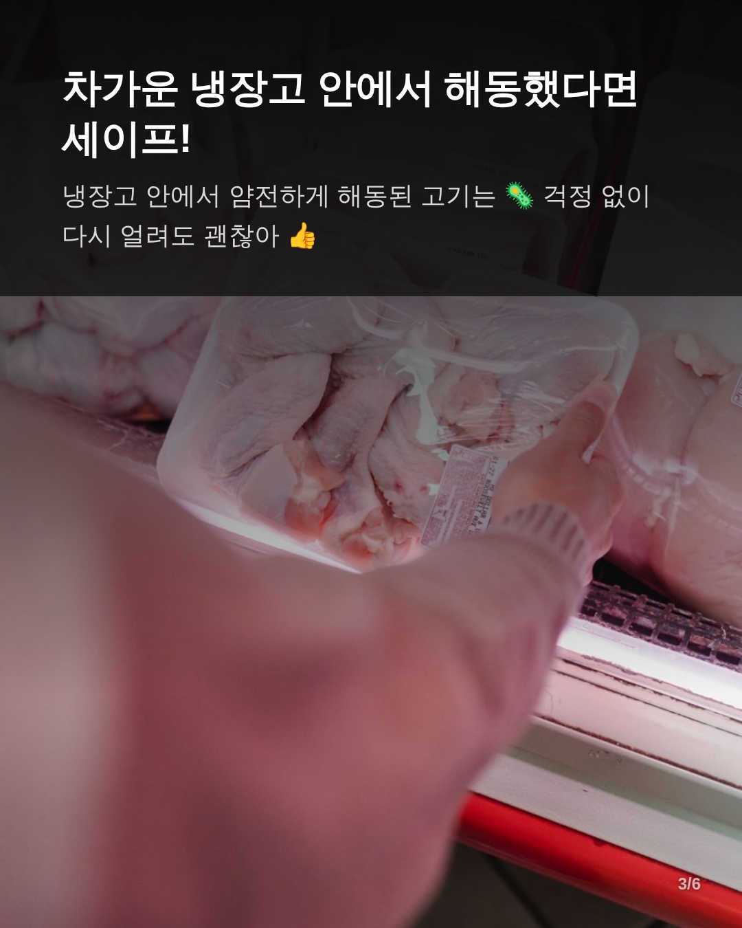 재냉동 가능 여부를 결정하는 3가지 절대 기준