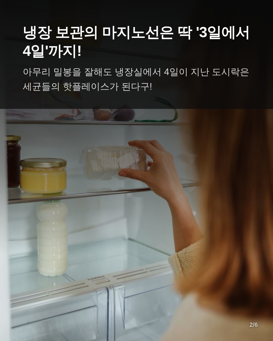 밀프렙 도시락 보관의 과학적 원리와 저온 세균의 위험성