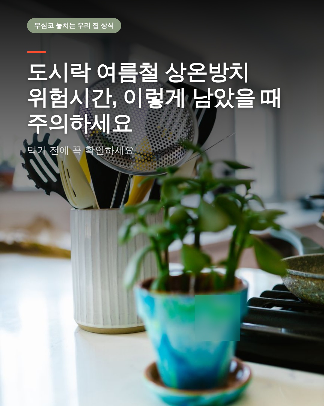 도시락 여름철 상온방치 위험시간, 이렇게 남았을 때 주의하세요