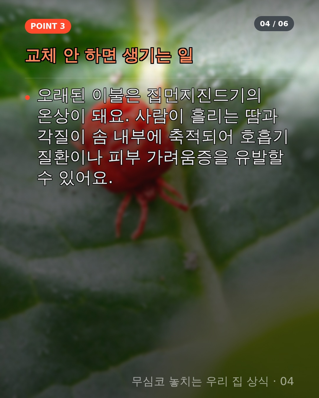 다들 놓치는 이유와 대처법