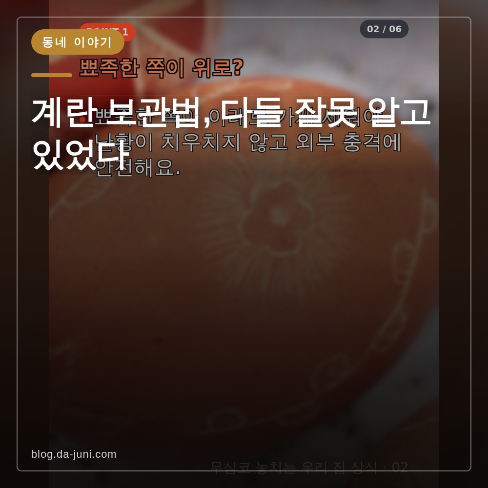 계란 보관법, 다들 잘못 알고 있었다
